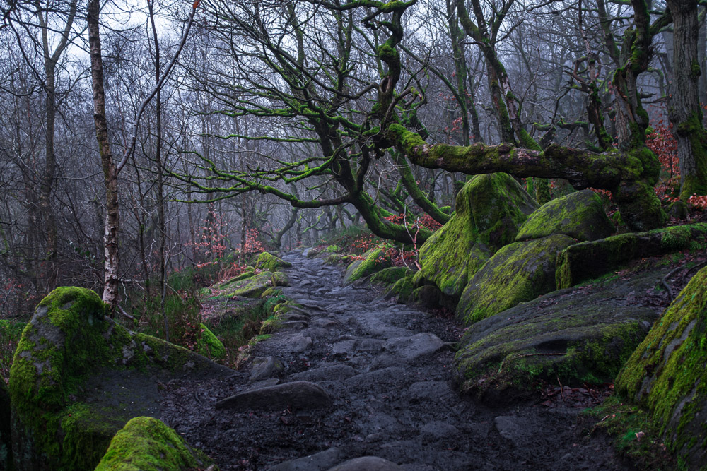 Padley Gorge
