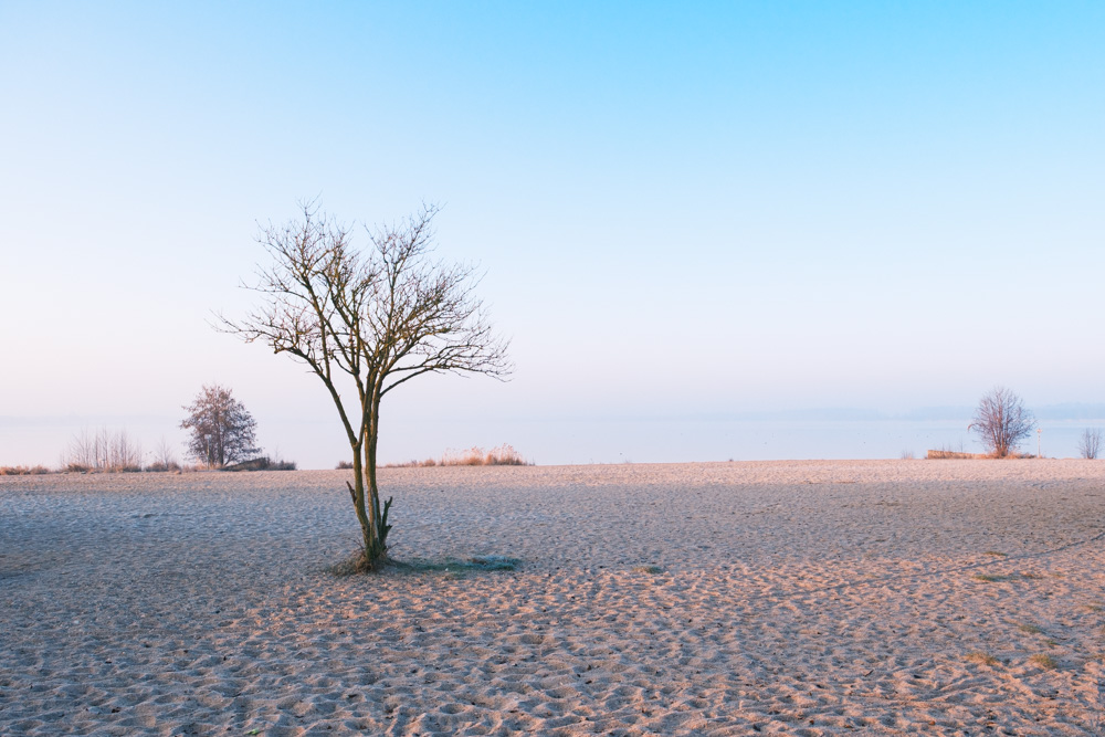 Update: Cospudener See / Nordstrand