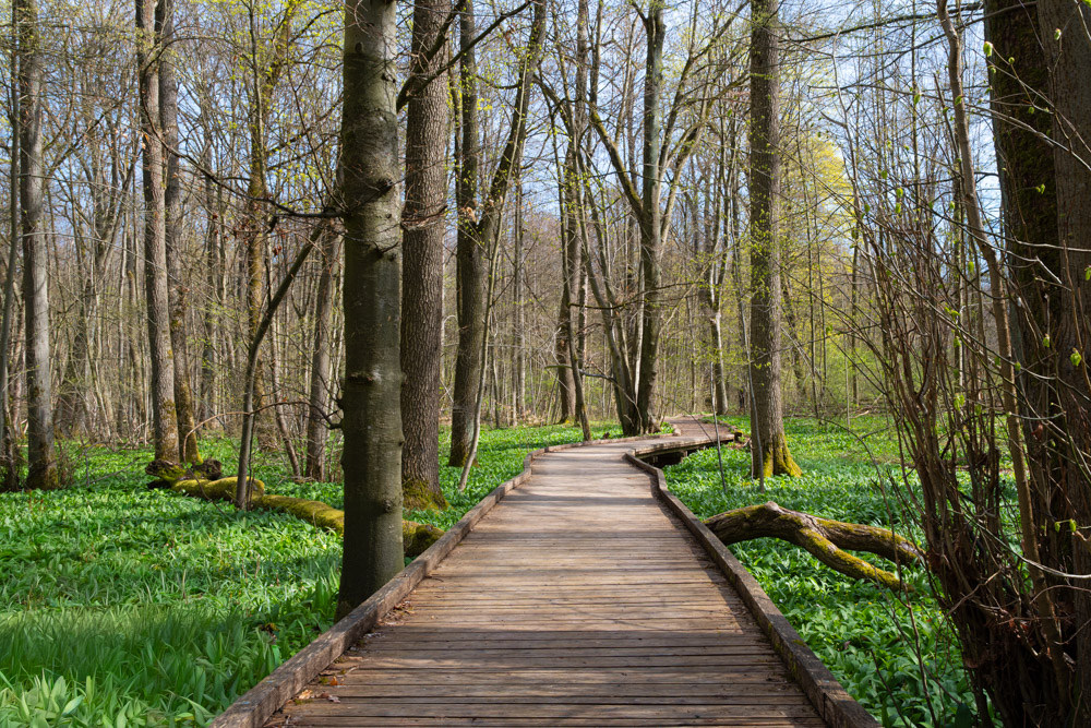 Nationalpark Hainich